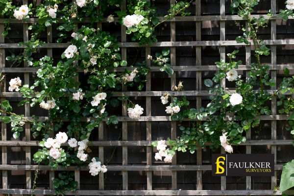 Can I put trellis on my Neighbours garage wall? 2 Do you want to adapt your neighbours garage door and add a trellis Chesham? Talk to Faulkner Surveyor Chesham